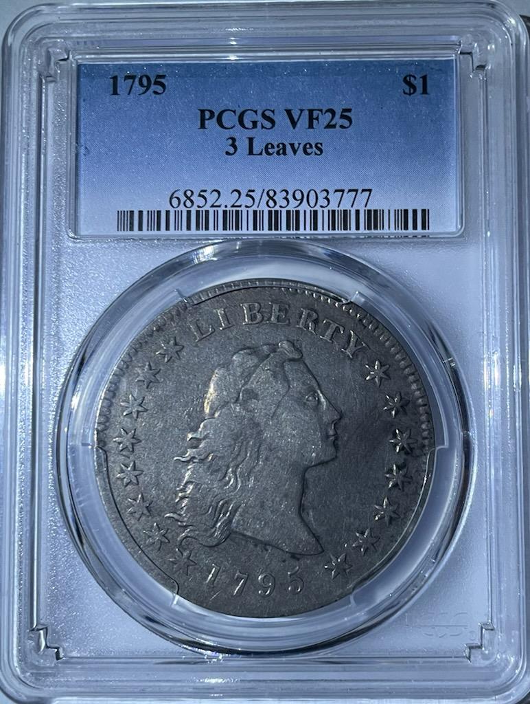 1795 Flowing Hair Silver Dollar. Steel grey color on both the obverse and reverse. Details all present with slight wear on higher points. The reverse contains adjustment marks on the lettering around the rim. Some protected areas contain a hint of luster. Overall, a nice problem free, straight grade coin with no major flaws.